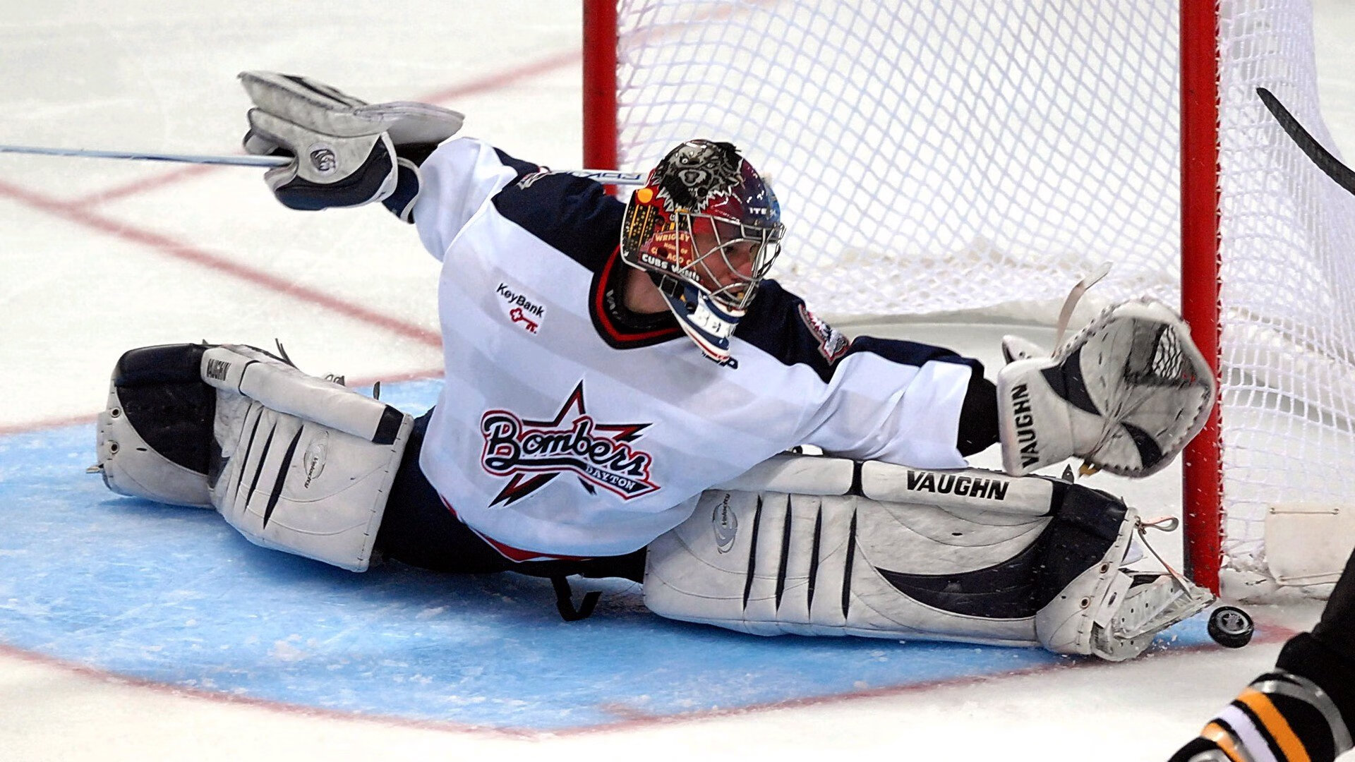 华体会真人-“彼得森的超凡技艺，成为南非羚羊队的获胜法宝”